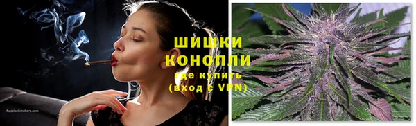 дживик Богородицк