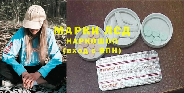 ПСИЛОЦИБИНОВЫЕ ГРИБЫ Медвежьегорск