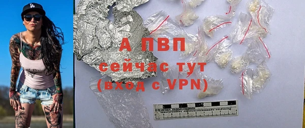 ПСИЛОЦИБИНОВЫЕ ГРИБЫ Медвежьегорск