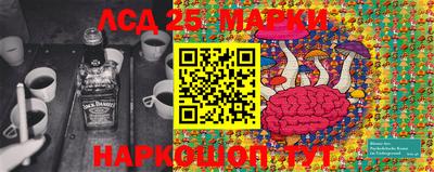 Альфа ПВП Жуковский