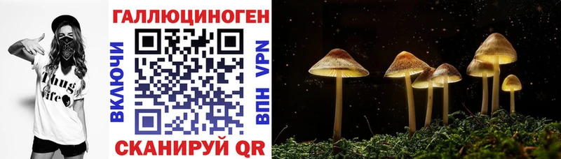 KRAKEN ССЫЛКА  мориарти официальный сайт  Галлюциногенные грибы Cubensis  Чистополь 
