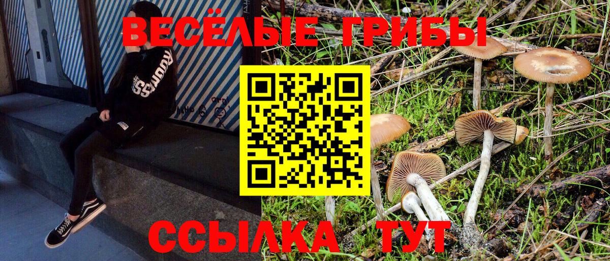 Чистополь  Галлюциногенные грибы MAGIC MUSHROOMS  Вход с VPN 