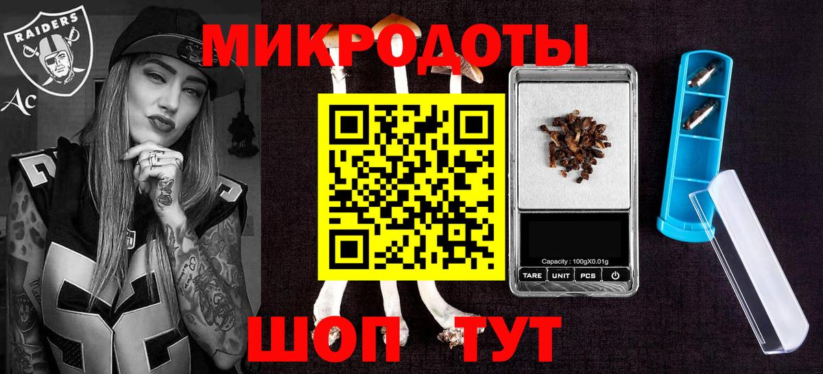 Псилоцибиновые грибы Psilocybe Чистополь